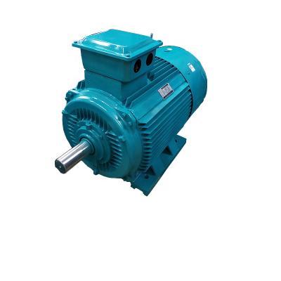 China Totally Enclosed Y Series Three Phase AC Induction Motor 380v Electric Motor for sale