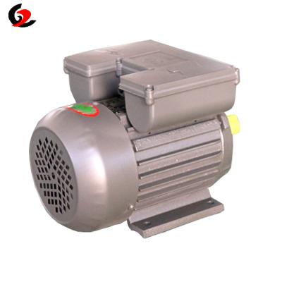 China 2.2KW 220V 60HZ 3 HP Totally Enclosed Electric Single Phase Motore for sale