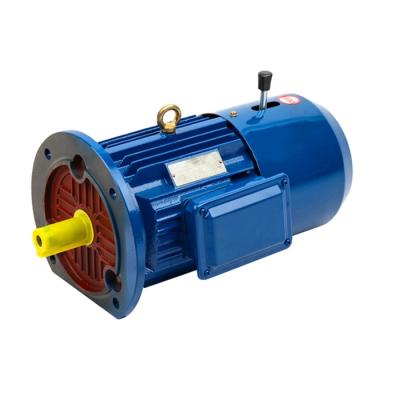 China 1HP 2HP 3HP 4HP 5HP Totally Enclosed Electric Motor With Brake for sale