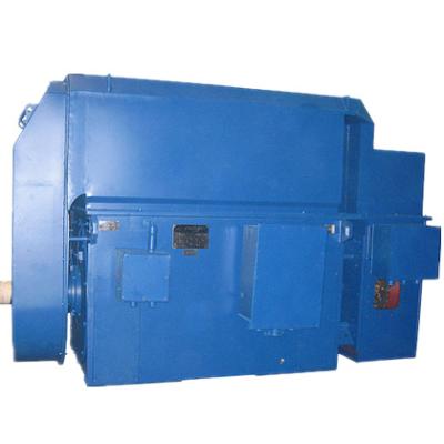 China Manufacturing Price Y YKS YKK Totally Enclosed High Voltage Electric Motor 160OKW for sale