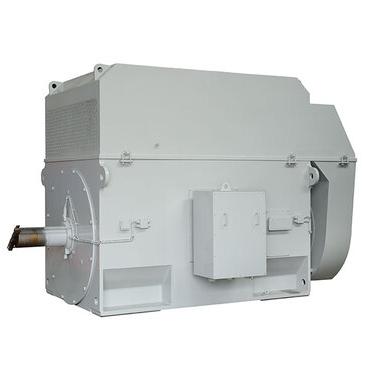 China Totally Enclosed Y Series Year Series IP44 IP54 IP55 Large AC Motor for sale