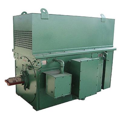 China Totally Enclosed YKK YRKK 6KV 500KW High Voltage Electric Motor for sale