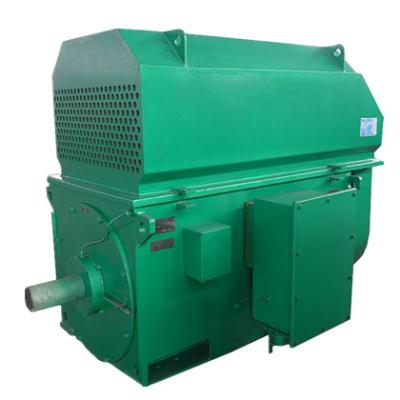 China YRKK 10KV 6KV Induction Motor Totally Enclosed High Voltage for sale