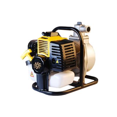 China Other Gasolinel Power 1E36F Water Pump Agriculture Irrigation 33CC Water Pump for sale