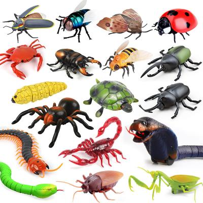 China Simulating Realistic Animal Model Insects Novelty Prank Toy Remote Control Pet Spdier Party Favorite Scary Tricky Toys for sale