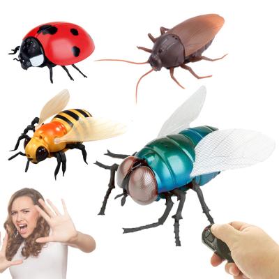 China Simulation Insect Education Toys For Kids Birthday Gifts Electric Realistic Wireless Infrared Remote Control RC Insect Animal Model for sale