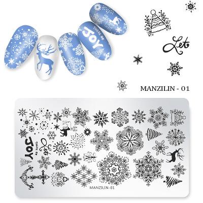 China Nail Art 2021 Hot Sale Christmas Snowflake Rectangle Nail Plate Tool Series for sale