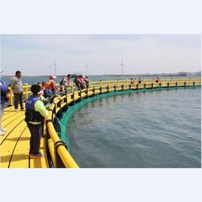 China Multifilament purse seine net, HDPE tilapia fish farming cage net supplier, tilapia jaula for sale