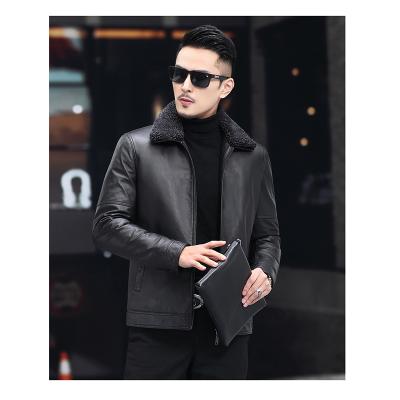 China Viable Winter Men's Calf Cow Leather Motorcycle Leather Jacket Down Jacket With Detachable Woolen Collar for sale