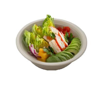 China Round 900ml Pulp Bowls Biodegradable Compostable Eco Friendly Bowl Biodegradable And Compostable Bowl for sale