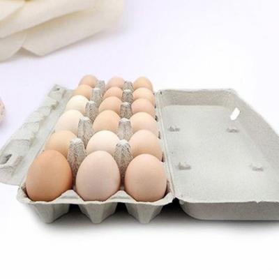 China Biodegradable And Recyclable Colored Egg Food Trays Egg Cartons Protect Eggs Can Be Customized for sale