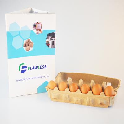 China Recycled Materials 12 Cell Egg Cartons Egg Trays Cheap Paper Pulp Products Can Be Chinese OEM/ODM Manufacturer for sale