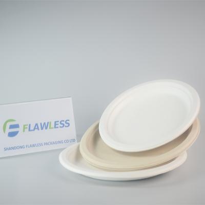 China Disposable Disposable Dinner Plate Food Cake Tray Eco-friendly Bagasse White Pulp Can Be Customized for sale