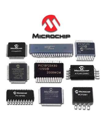 Cina MCP6002-I/SN Circuiti integrati (IC)
Incorporato
Microcontrollori in vendita