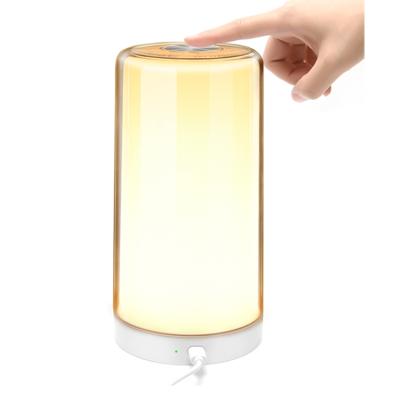 China 2022 Trend Modern Smart Sensor Switch Night Light Can Touch Dimming Bedroom Table Lamp for sale