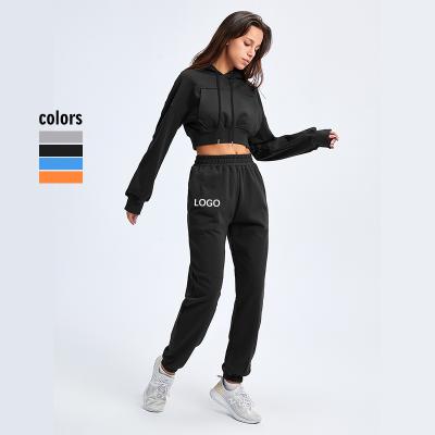 China New Product Breathable Sportswear Women Outdoor Tracksuit Ladies 2 Piece Sweatsuit With Hoodies for sale