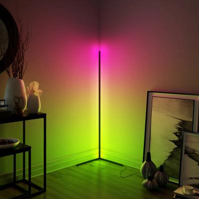 China Modern Fashionable Indoor Remote Control Smart Standing Floor RGB Led Lamp Corner Light for sale