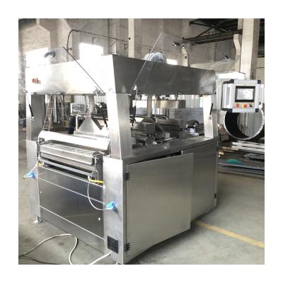 China Mini Dairy Factory CE800 Chocolate Enrobing Machine for sale