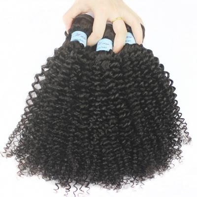 China Cuticle Full Preserved Raw Virgin Brazilian Hair Bundles 100% Unprocessed Afro Kinky Curly Hair Small Curl Style Cuticle Aligned for sale