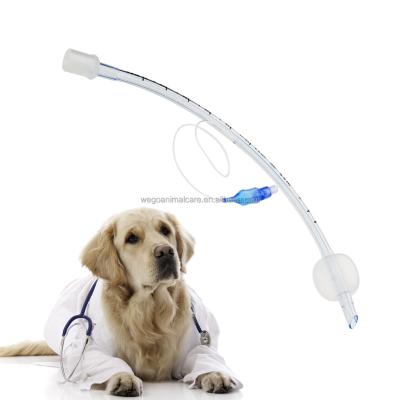 China PVC Veterinary Endotracheal Tube Size 2.5 -13.0 With Metal Frame Tube For Cat And Dog for sale