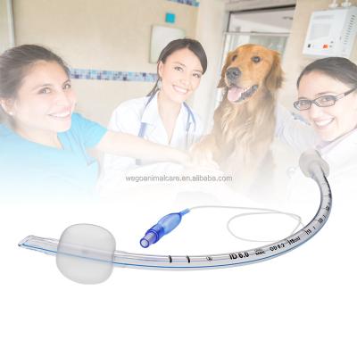 China Veterinary PVC Wego oral and nasal disposable standard endotracheal tube with cuff / ET china tube for sale