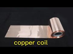 Stainless Steel Cold / Hot Rolled Coil Aluminum Carbon Galvanized PPGI Copper Coil