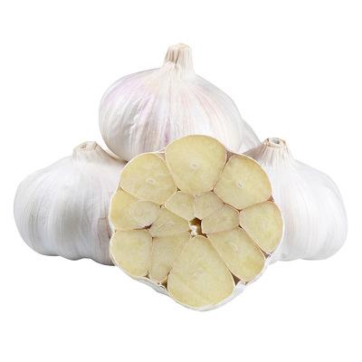 China Alho Rox 10kg/carton Fresh Bulk Pure White Para Garlic Brazil Export For Senegal Market From China New Crop 2021 for sale