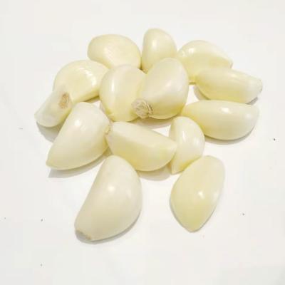 China Fresh Chinese Fresh Garlic Pakistani White Garlic For Sale In Bulk for sale