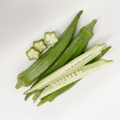 China China Native Products Fresh Vegetable Lady Finger Fresh Okra for sale