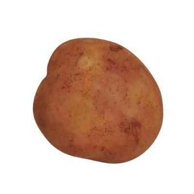 China Wholesale price of high quality vegetable fresh bulk potato fresh potato for sale