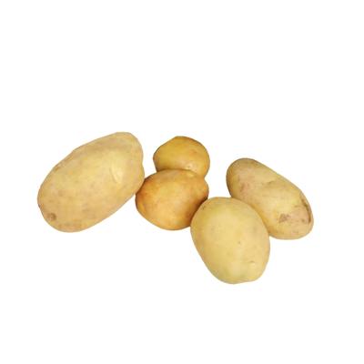 China 2021 new crop fresh wholesale fresh potato bulk yellow potato for sale