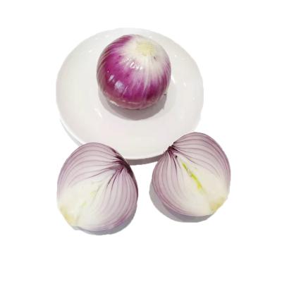 China Fresh the high quality onion price of chinese fresh onion for sale