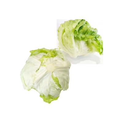 China Heavy Metal China Exports High Quality Natural Lettuce for sale