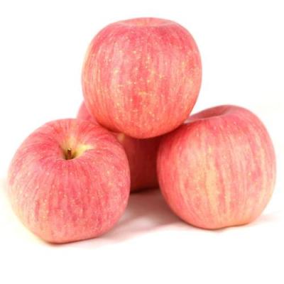 China High quality fresh export China Fuji apple fresh fruit for sale