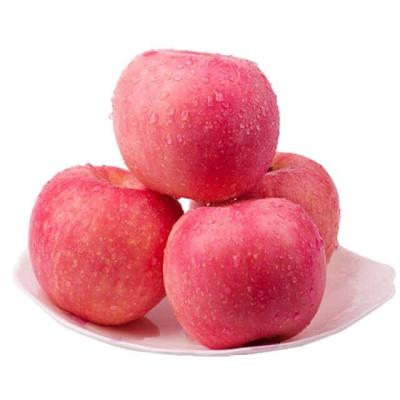 China Wholesale High Quality Fuji Fresh Apple Porcelain Red Apple for sale