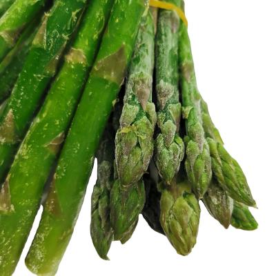 China FROZEN Organic Green Asparagus Spear Frozen Organic Asparagus Iqf for sale