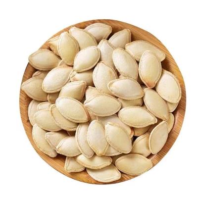 China Snow Dried Hybrid White And Shine Skin Pumpkin Seeds Pumpkin for sale