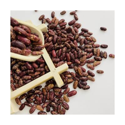 China Wholesale New Hot Selling Dried Chinese Cheapest Culture Dried Purple Kidney Beans for sale