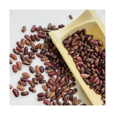 China Promotional Good Quality Dry Purple Black Spotted Kidney Beans for sale