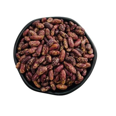 China Professional Dry 2021 Manufacturer Red Speckled Kidney Beans for sale