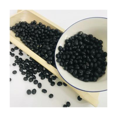 China Wholesale Organic Dried Green Food Small Black Kidney Beans for sale