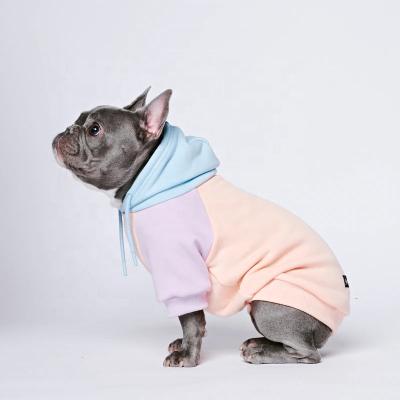 China Sustainable Human Raglan Sleeve Pet Sweatshirts Cotton Candy Dog Matching Hoodie for sale