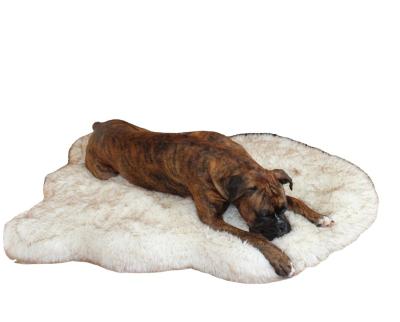 China Viable Amazon Border Plush Pet Carpet Rug Rug Rug Hot Selling for sale