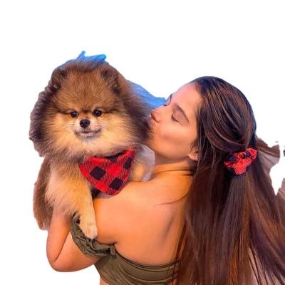 China Sublimation Viable Luxury Design Customization Graphic Scrunchie and Custom Dog Bandana for sale