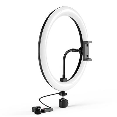 China Mini 10 inch Ring Light with Tripod Stand Selfie Ring Light Kit 3200-6000k Dimmable LED Photography Ring Light for Tiktok Youtube for sale