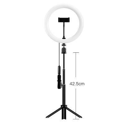 China Inch 26cm Ring Light With Mini Tripod Kit Desktop Photography Video Selfie LED Ring Lights For Live Streaming from Mini Starbea 10 for sale