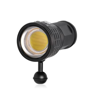 China Seafrogs Factory Supply IPX68 LED Photographic Lighting Professional Diving Light Deep Sea With 18650 Battery for sale