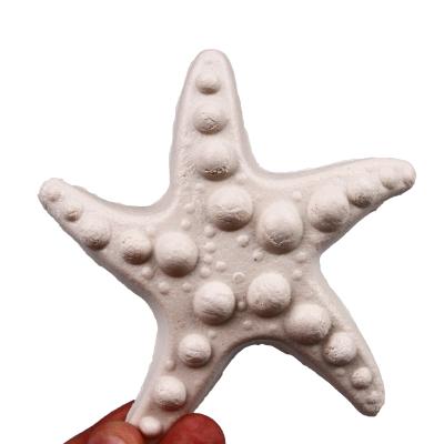 China Sustainable All Natural Organic High Protein As Dental Care The Kind Of Pet Snacks As Green Tea Flavor Starfish for sale