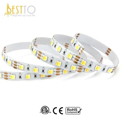 China High CRI Decorative Lighting Dynamic White CCT 12/24V 2 In Bicolor 1 Flexible 60LED 5050 Strips Led Lights for sale