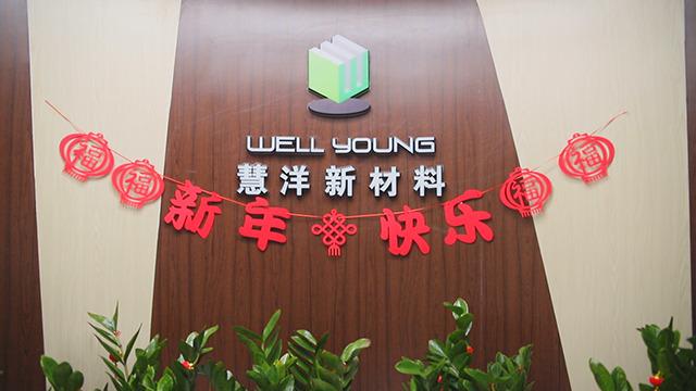 Verified China supplier - Zhangjiagang Well Young Material Co., Ltd.